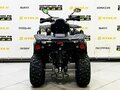 2025 Bison ATV200, чёрный - вид 6