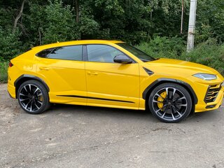 2019 Lamborghini Urus I, жёлтый, 16200000 рублей, вид 4