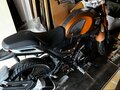 2023 Shineray XY250-11A (COBRA), коричневый, 120000 рублей - вид 6