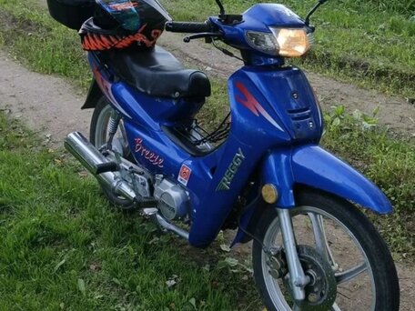 2009 Reggy Breeze, синий, 70000 рублей, вид 2