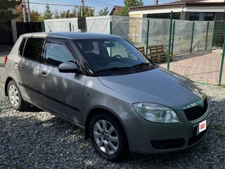 2009 Skoda Fabia II, серый, 630000 рублей, вид 5