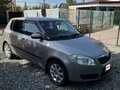 2009 Skoda Fabia II, серый, 590000 рублей - вид 4