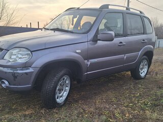 2010 Chevrolet Niva I Рестайлинг, серый, 360000 рублей, вид 1