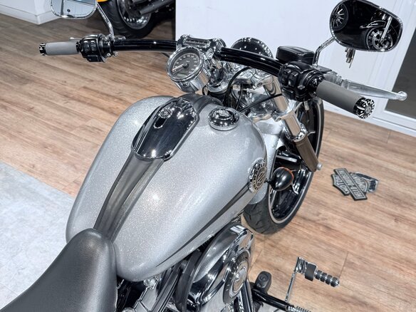2015 Harley-Davidson Breakout, серебристый - вид 25