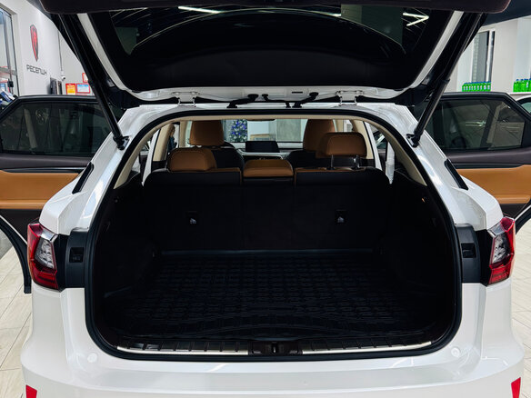 2017 Lexus RX 200t IV, белый, 3500000 рублей - вид 25