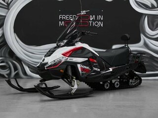 2025 Другие Снегоходы (другие), белый, 339900 рублей, вид 1