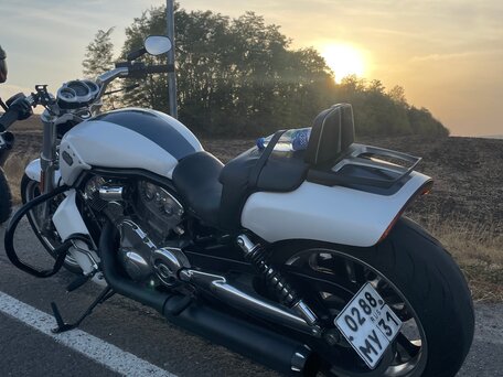 2011 Harley-Davidson V-Rod Muscle, белый, 1300000 рублей, вид 4