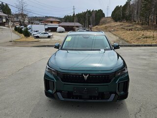2023 Voyah Free I Рестайлинг, зелёный, 4600000 рублей, вид 2