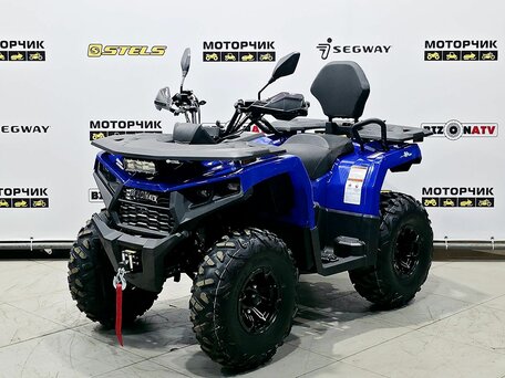 2025 Bison 250U, синий, 309900 рублей, вид 1