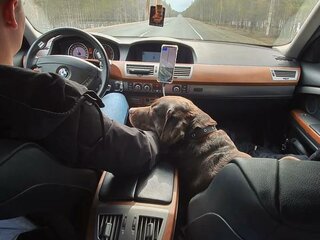 2008 BMW 7 серии 730i IV (E65/E66) Рестайлинг, чёрный, 900000 рублей, вид 5