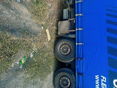 2006 Schmitz Cargobull S01, синий, 1150000 рублей, вид 3