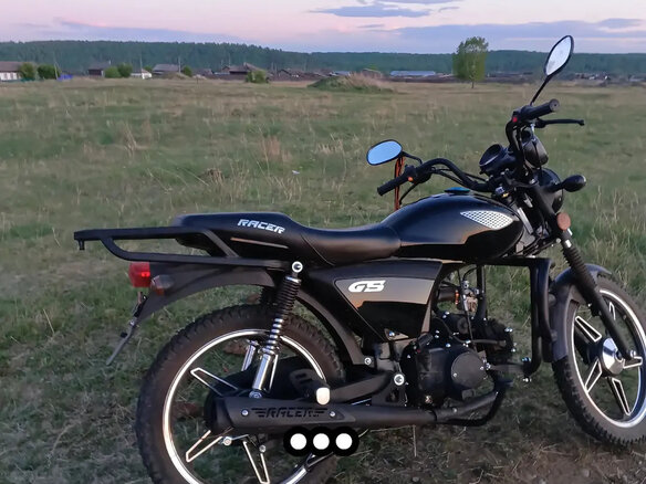 2024 Alfer TX 300, чёрный, 85000 рублей - вид 1