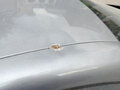 2010 Renault Scenic Grand III, серый, 730000 рублей - вид 11