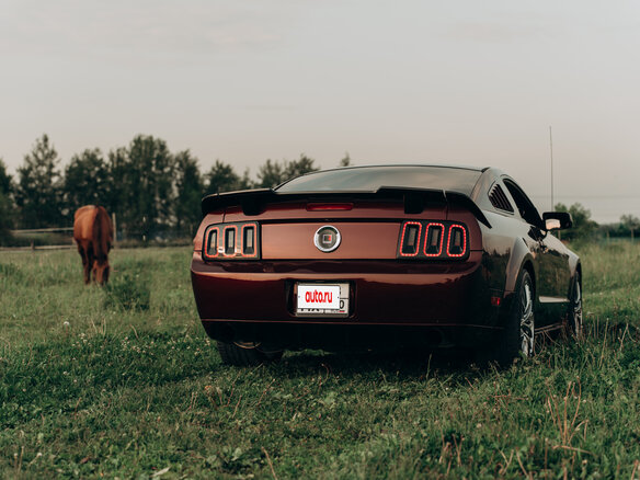 2005 Ford Mustang V, пурпурный, 3300000 рублей - вид 22