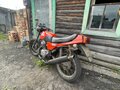 1991 Jawa 350/638, красный, 55000 рублей - вид 5