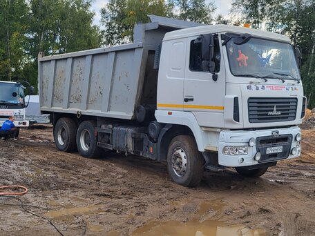 2015 МАЗ 6501, белый, 1900000 рублей, вид 3