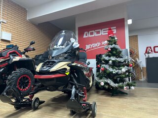 2025 AODES (Odes) Snowcross 1000, бежевый, 999000 рублей, вид 1