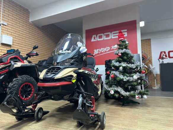 2025 AODES (Odes) Snowcross 1000, бежевый, 999000 рублей