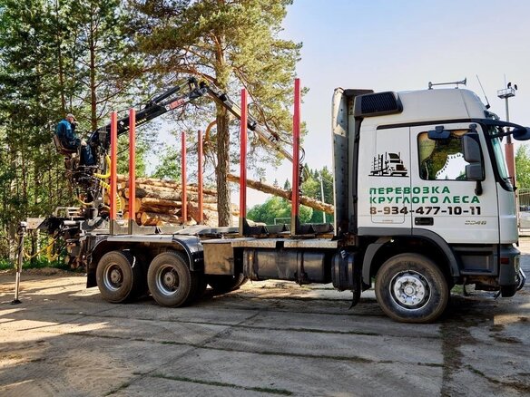 2017 Mercedes-Benz Actros, белый, 9000000 рублей - вид 9