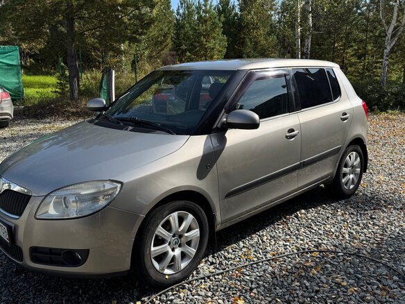 2009 Skoda Fabia II, серый, 590000 рублей - вид 7