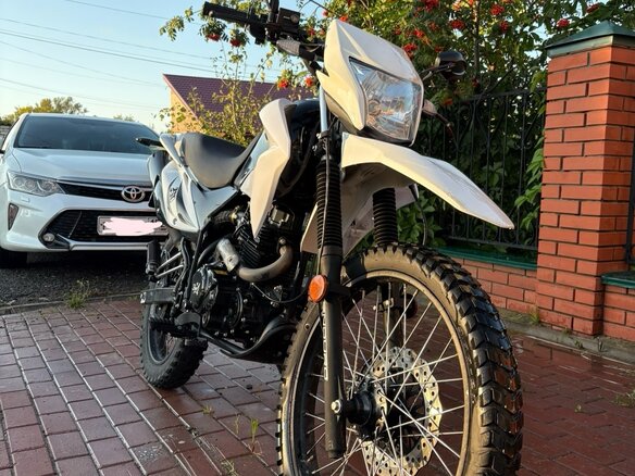 2019 ЗиД YX250GY-C5C, белый, 95550 рублей