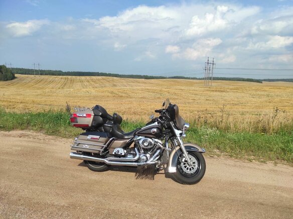 2003 Harley-Davidson Electra Glide, коричневый, 594334 рублей - вид 5