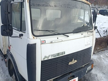 2010 МАЗ 4370, белый, 950000 рублей, вид 1