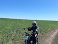 2015 Motoland Alpha, красный, 45000 рублей - вид 3
