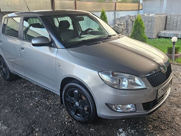 2010 Skoda Fabia II Рестайлинг, серый, 650000 рублей - вид 1