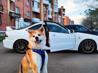 1999 Honda Integra III Рестайлинг, белый, 920000 рублей, вид 3