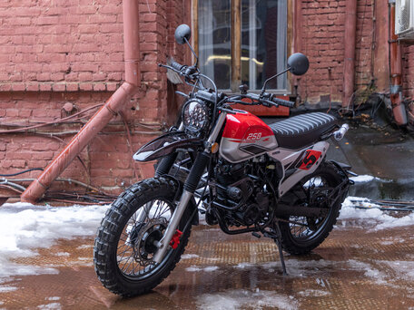 2025 Fuego Rambolor 250, красный, 159900 рублей, вид 2
