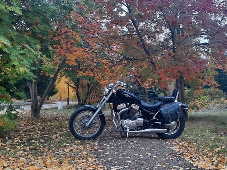 2007 Suzuki Boulevard S83, чёрный, 800000 рублей, вид 3