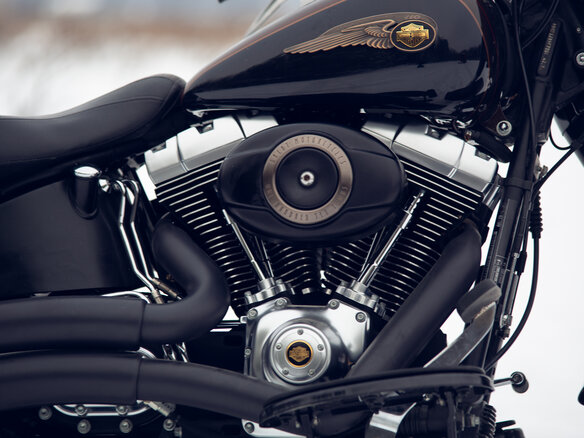 2013 Harley-Davidson Fat Boy, коричневый, 1350000 рублей - вид 13