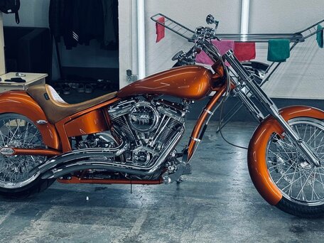 2009 Harley-Davidson Softail Custom, оранжевый, 1165111 рублей, вид 2