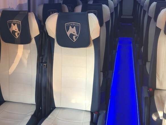 2020 Foxbus 62412, белый, 5700000 рублей - вид 8