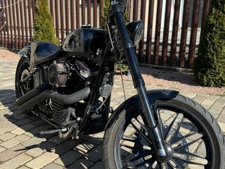 Harley-Davidson Cross Bones