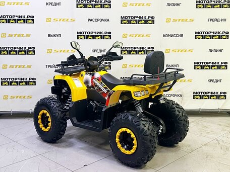 2025 Bison Warrior 200, жёлтый, 239900 рублей, вид 3