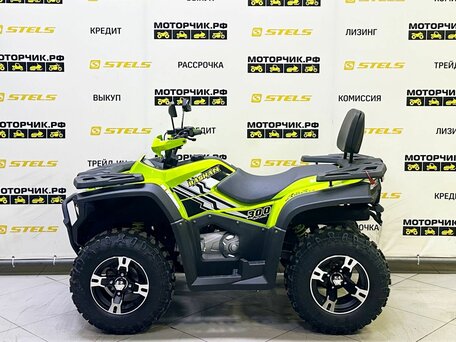 2025 Bashan Explorer 300, зелёный, 429000 рублей, вид 2