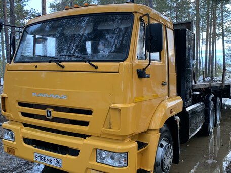 2017 КамАЗ 65116, жёлтый, 2799999 рублей, вид 1