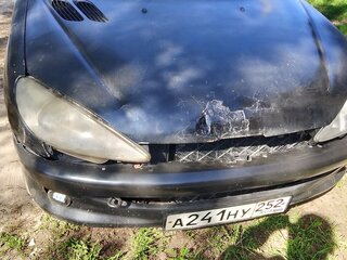 2007 Peugeot 206, чёрный, 59000 рублей, вид 1