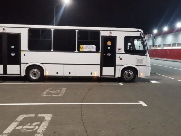 2018 ПАЗ 3204, белый, 2600000 рублей - вид 4