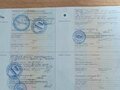2012 Iveco Stralis, белый, 3000000 рублей - вид 5