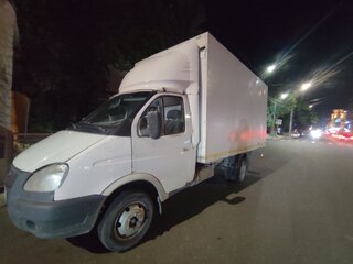 2009 ГАЗ ГАЗель (3302), белый, 750000 рублей, вид 2