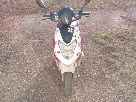 2017 Irbis Z50R, белый, 51000 рублей, вид 1