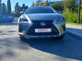 2020 Lexus NX 200 I Рестайлинг, серый, 3650000 рублей, вид 5