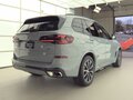 2024 BMW X5 40i IV (G05/G18) Рестайлинг, серый - вид 4