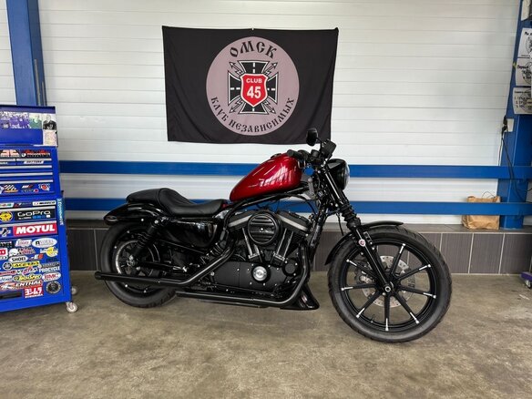 2017 Harley-Davidson Sportster 883, чёрный, 1200000 рублей - вид 15