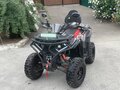 2026 BRP Can-Am DS 250, серый, 159000 рублей - вид 3