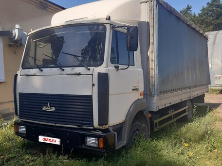 2008 МАЗ 4370, белый, 500000 рублей, вид 2