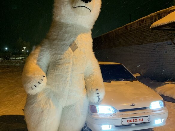 2012 Lada (ВАЗ) 2114, белый, 250000 рублей - вид 6
